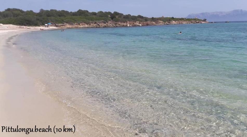 Apartamento Marina Seaview Olbia Exterior foto